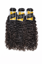 Load image into Gallery viewer, Burmese Kinky Curl
