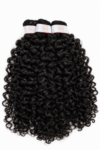 Load image into Gallery viewer, Burmese Curl Bundles
